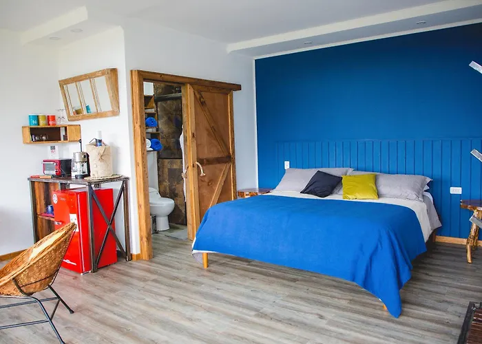 Apalta Lofts, Disfruta Frente A Vinedos