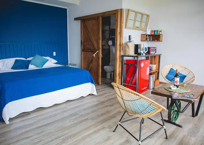 Apalta Lofts, Disfruta Frente A Vinedos