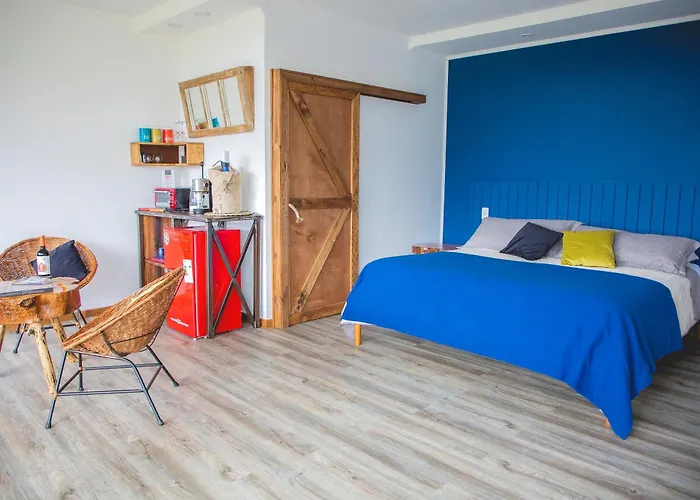 Apalta Lofts, Disfruta Frente A Vinedos