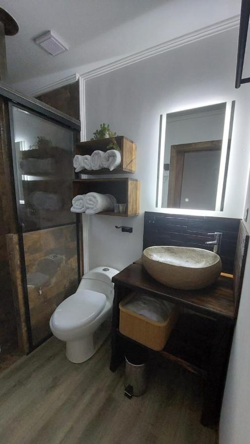 Apalta Lofts, Disfruta Frente A Vinedos * Santa Cruz