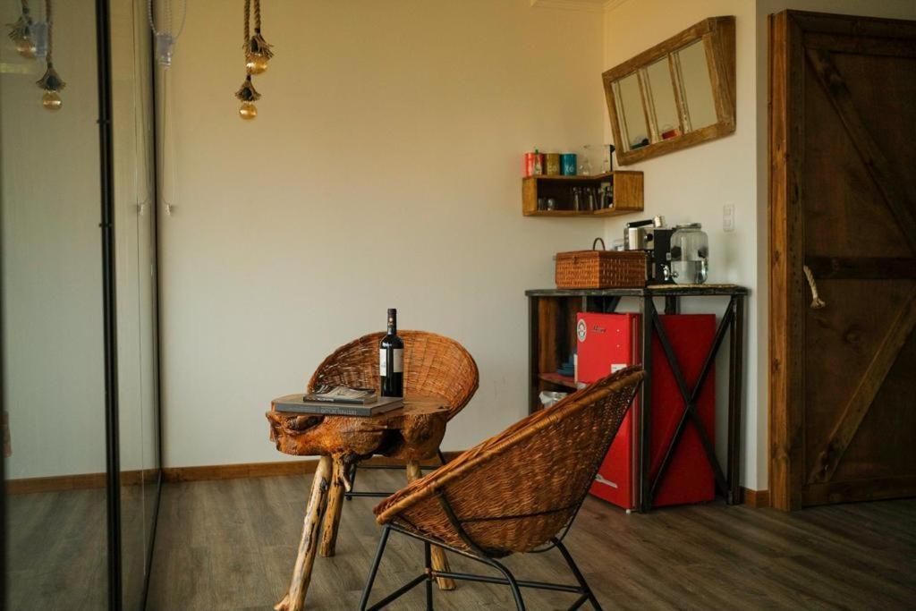 Apalta Lofts, Disfruta Frente A Vinedos * Santa Cruz