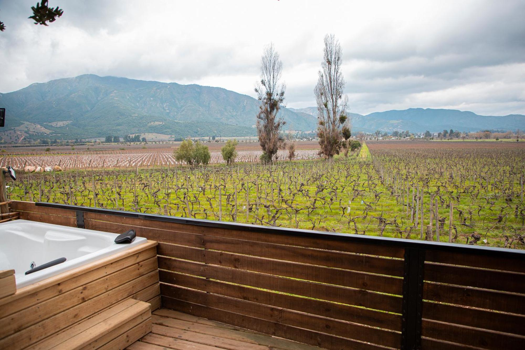 Apalta Lofts, Disfruta Frente A Vinedos *