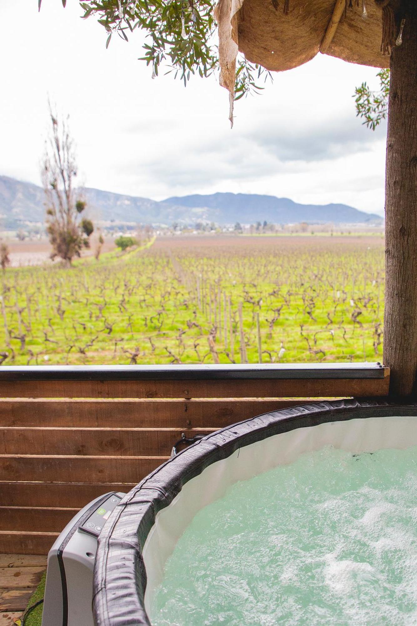 Apalta Lofts, Disfruta Frente A Vinedos Holiday home Santa Cruz