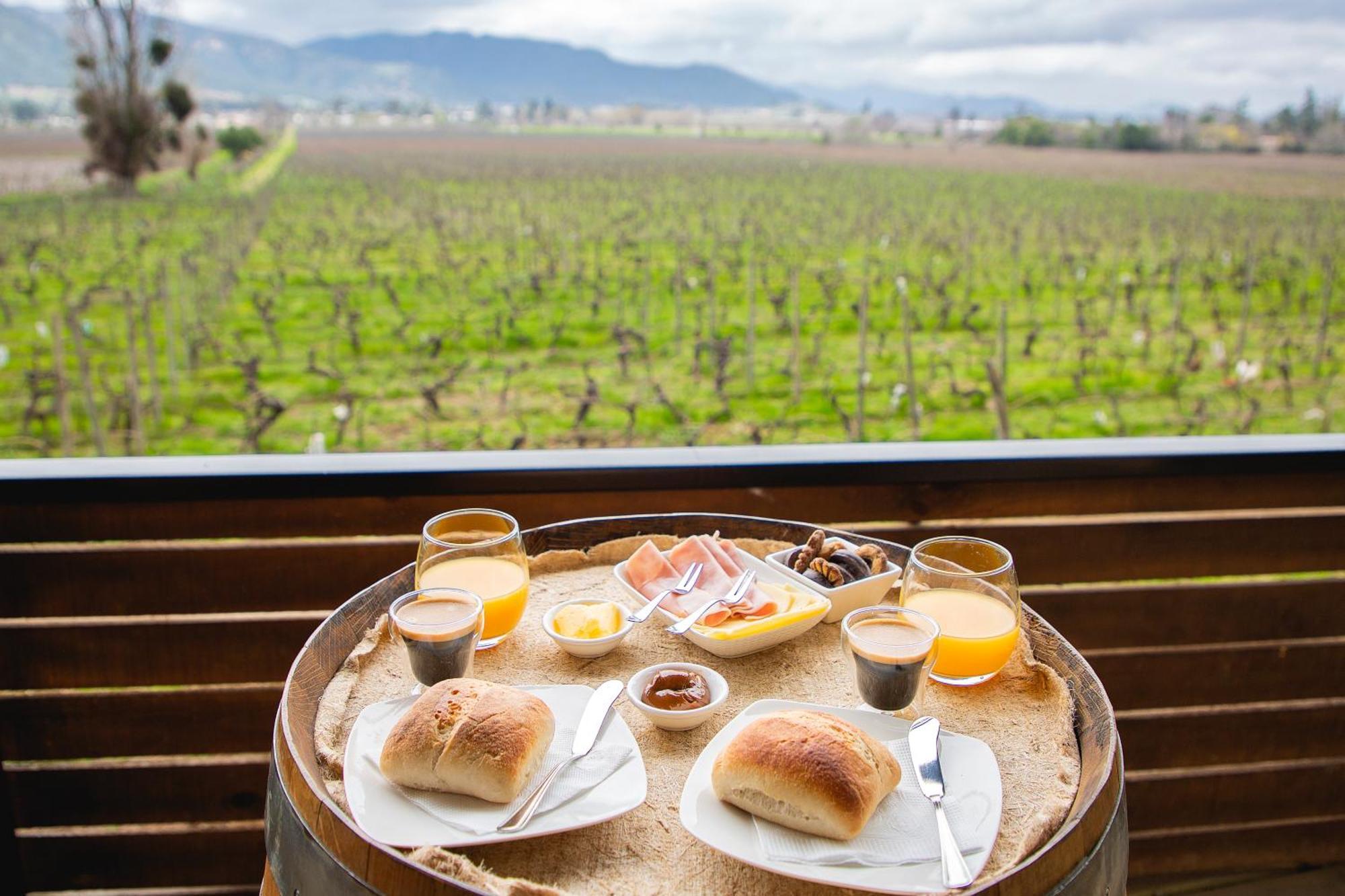 Apalta Lofts, Disfruta Frente A Vinedos Holiday home Santa Cruz